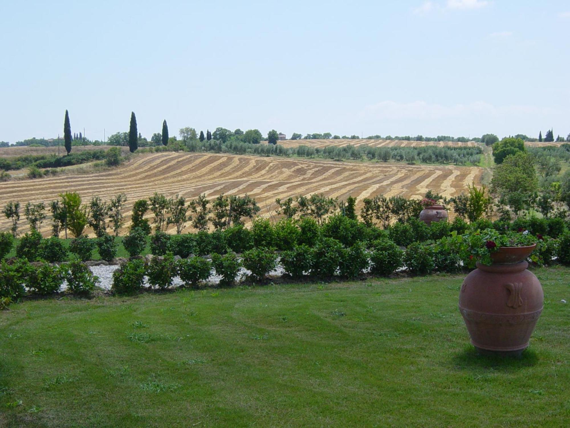 Agriturismo Il Macchione Pienza Exterior foto
